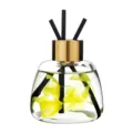 Glass Reed Diffuser Bottle with Black Sticks and Gold Cap for Home Fragrance 100ml - Osmanthus
