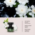 Gardenia car diffuser and air freshener bottle with elegant floral notes for fresh interior. - Gardenia Fragrance