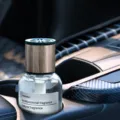 Car air freshener long lasting fragrance premium diffuser bottle for auto interior use - Fresh White Tea