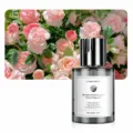Car air freshener perfume 160ml glass bottle long lasting floral scent auto aroma diffuser. - Phantom - Romantic Encounter