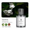Car air freshener diffuser 160ml gardenia long lasting fragrance auto perfume bottle. - Phantom - Gardenia After Rain