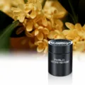 Solid car perfume osmanthus scent air freshener for men's auto interior decoration - Little Gentleman - Osmanthus