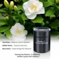 Black Solid Car Perfume Balm, Gardenia Scent Long Lasting Vehicle Air Freshener. - Little Gentleman - Gardenia