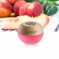 Peach Scented Air Freshener Long Lasting Indoor Aromatherapy Diffuser for Bedroom and Bathroom - Juicy Peach Scent