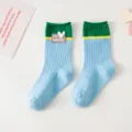 Women cotton long socks color block cute heart casual socks spring autumn college style - Blue and Green / Adult Size