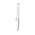 Stainless steel steak knife with serrated blade, elegant French design table knife. - Steak Knife