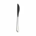 Coltello da bistecca in acciaio inox 304 ergonomico robusto per la tavola e cucina - Coltello da Dessert Elegante