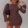 Detail shot of womens brown ribbed knit bodycon dress showcasing long sleeves and fit style. - Coffee