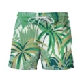 Men Casual Tropical Leaf Print Board Shorts Green Summer Beach Swim Trunks with Drawstring - 3XL / Bottom (HJ-10202)