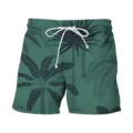 Men's green tropical palm leaf print summer beach shorts with white drawstring casual - 3XL / Bottom (HJ-10203)