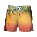 Men's tropical sunset palm tree print beach shorts, casual summer boardshorts variant. - Bottom (HJ-10204)