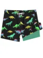 Men's double-layer quick-dry board shorts with fun cartoon dinosaur print for summer beach. - XS / Green (HJ-FM0225)