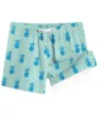 Men's light blue pineapple print double layer quick dry beach shorts casual swimwear - HJ-HD Green