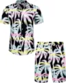 Ensemble chemise à manches courtes et short imprimé palmiers hawaïens pour homme. - 3XL / Haut Et Bas / HJFS-CS04244