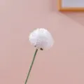 Dettaglio fiore di tarassaco all'uncinetto, pompon di filato bianco su stelo verde. - Dente di leone - bianco