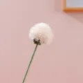 Fiore artificiale di tarassaco all'uncinetto fatto a mano primo piano dettaglio pompon lana. - Tarassaco Colore Pelle