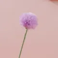Fiore artificiale tarassaco in filato lavorato a mano bouquet pon-pom viola arredo - Dente di leone - viola