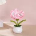 Primo piano dettagliato di una bellissima pianta di garofano all'uncinetto rosa. - Garofano in Vaso Rosa Sfumato