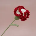 Garofano all'uncinetto fatto a mano, bellissimo bouquet lavorato a maglia rosso e bianco. - Rosso Sfumato Garofano Singolo Finito