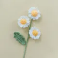 Vista dettagliata di un fiore di margherita lavorato all'uncinetto con petali bianchi e stelo. - Bianco