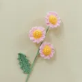 Bouquet di margherite all'uncinetto fatto a mano regalo di decorazione floreale. - Rosa