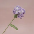 Fiore di garofano all'uncinetto fatto a mano bouquet floreale viola bianco regalo. - Viola Chiaro Sfumato Garofano Singolo Finito