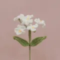 Vista ravvicinata e dettagliata di un fiore non-ti-scordardimé bianco fatto all'uncinetto. - Bianco