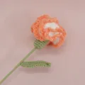 Variante di fiore di garofano all'uncinetto fatto a mano, bouquet di lana arancione e bianca. - Arancione Sfumato Garofano Singolo Finito