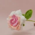 Dettaglio in primo piano di rosa all'uncinetto fatte a mano, trama di filato delicata, petali. - Sfumatura rosa