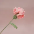 Fiore di garofano rosa all'uncinetto fatto a mano bouquet perfetto per festa della mamma - Rosa Garofano Singolo Finito