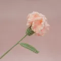 Fiore di garofano rosa uncinetto fatto a mano bouquet artificiale regalo festa della mamma - Nude Garofano Singolo Finito