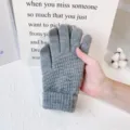 Winter warme Strick-Handschuhe für Damen, dicke kaschmirweiche Touchscreen Thermohandschuhe. - Einheitsgröße / Grau