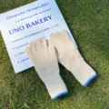 Guantes de punto cálidos para mujer invierno gruesos color sólido puños largos táctiles - Talla única / Beige con borde azul