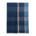 Blue plaid cashmere scarf winter warm shawl unisex fashion apparel main display product view - Blue Plaid