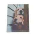 Cute Golden Retriever Puppy PU Leather Passport Cover Travel Holder Organizer Case - White Golden Retriever