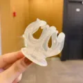 Vista dettagliata del fermaglio per capelli grigio gelatina traslucido con un design trasparente. - Molla per Capelli Zucca Bianca Trasparente