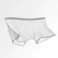 Boxershorts da uomo in seta di ghiaccio traspirante, biancheria estiva trasparente sottile. - Grigio