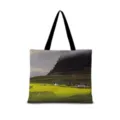 Sac cabas en toile avec paysage artistique vintage, grand sac porté épaule quotidien pour femmes - Coton Lin Impression Double Face + Fermeture Eclair + Poche Intérieure / Illustration Japonaise Horizontale 15 (Sangle Noire)