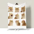 Detail view of cute cat printed flannel blanket showing funny expression pattern and soft texture. - 100x70cm [Lap Blankets] / Pet Nine-Grid 02