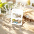 Ensemble de boucles d'oreilles coquillage océan tropical 6 paires style plage cadeau - Style 9