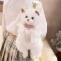 Carino zaino gatto peluche morbido animale imbottito borsa a tracolla per ragazze - Bianco