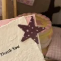 Detailed close-up of dark star-shaped metal hair clip with pink star pattern on display card. - Red Star Hair Clip / Red