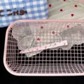 Detailed view of a cute pink long hair clip with lovely cartoon print inside a pink basket. - Bowknot Cherry Hair Clip