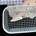 Close-up detail of the cute white hair clip with letter print inside a mesh basket. - Blue Letter Hair Clip