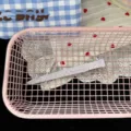 Long cute hair clip for girls sweet style bangs clip lovely hair accessory detail view - Polka Dot Long Hair Clip