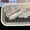 Detail shot of a sweet girly plaid hairpin, showing colorful grid design and clean white clip body. - Blue Two-Tone Hollow Square