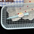 Close-up shot of a cute blue hairpin with a playful food toy cartoon character decoration. - Bun Long Hair Clip