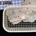 Pince à cheveux à carreaux rose douce coréenne pour frange mignonne et style quotidien - Goutte d'Eau Étoile Rose