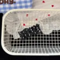 Korean fashion black and white pleated polka dot hair clip sweet girlish style hairpin accessory - Pleated Square Hair Clip / Black