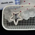 Korean style star hair clip, black and white PU leather star shape BB clip for girls. - Star BB Clip / White